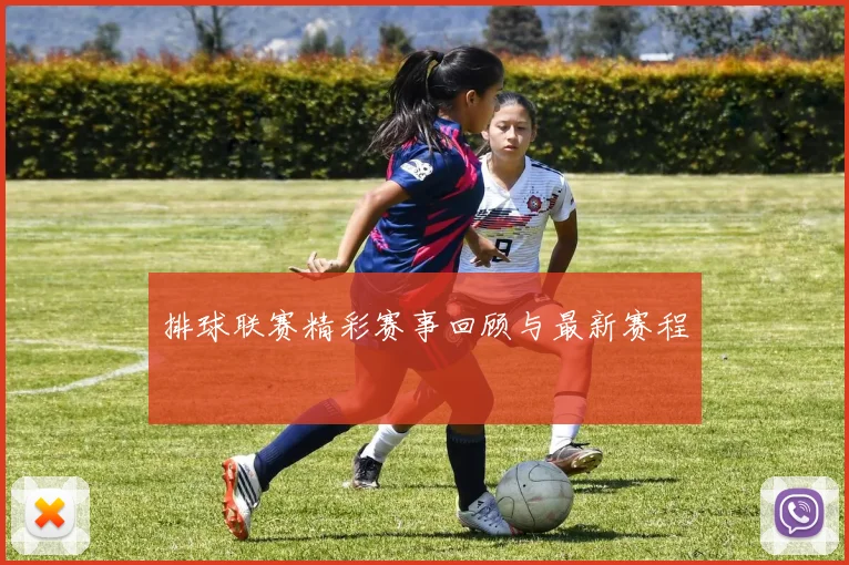 排球联赛精彩赛事回顾与最新赛程